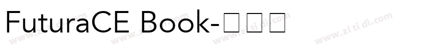FuturaCE Book字体转换